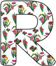 Tulpen-Buchstabe-R.jpg